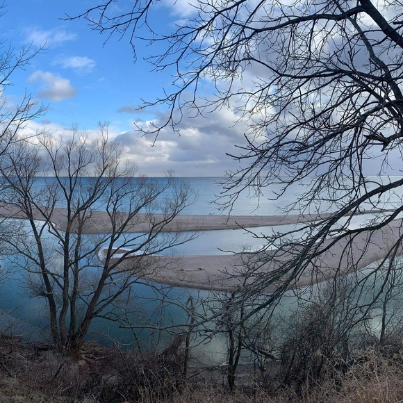 Meet your Posher, Lisa - Picture 1 of 1